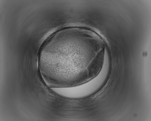 X0000090601221200707311154