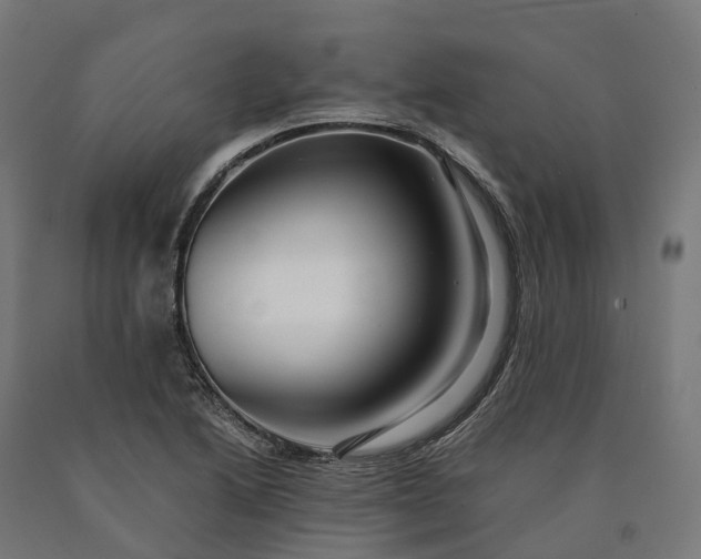 X0000090601222200707311154