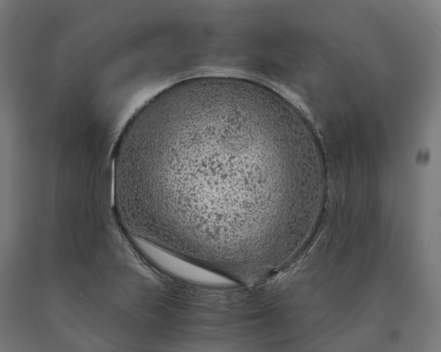 X0000090601223200707311154