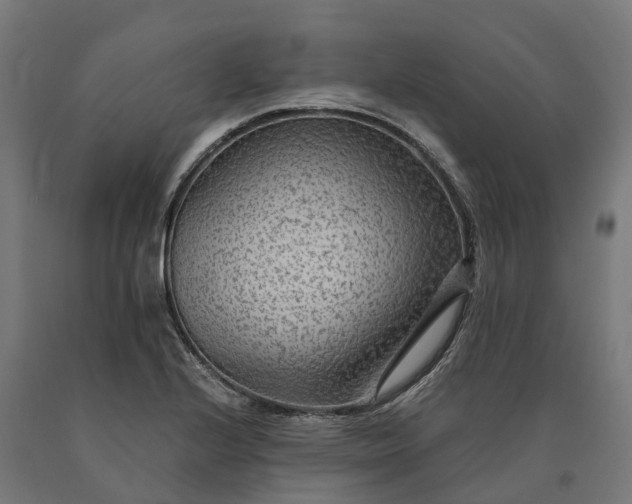 X0000090601224200707311154