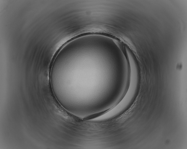 X0000090601226200707311154