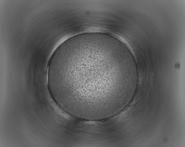 X0000090601227200707311154