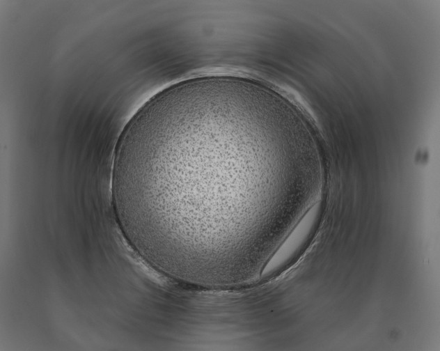 X0000090601228200707311154