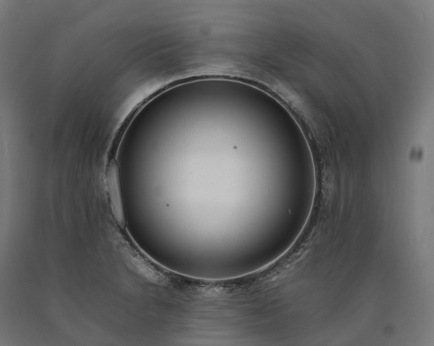 X0000090601230200707311154