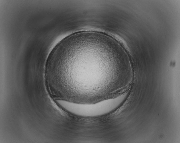 X0000090601231200707311154