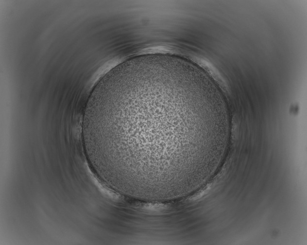 X0000090601233200707311154