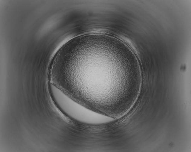 X0000090601235200707311154