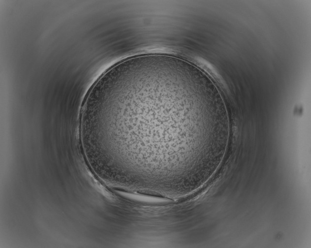 X0000090601236200707311154