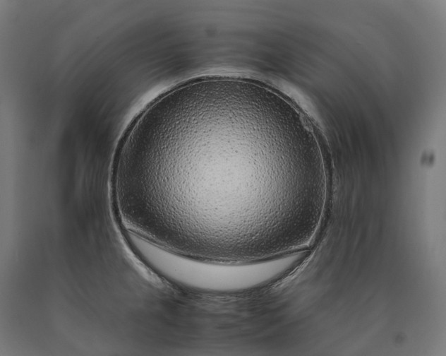 X0000090601237200707311154