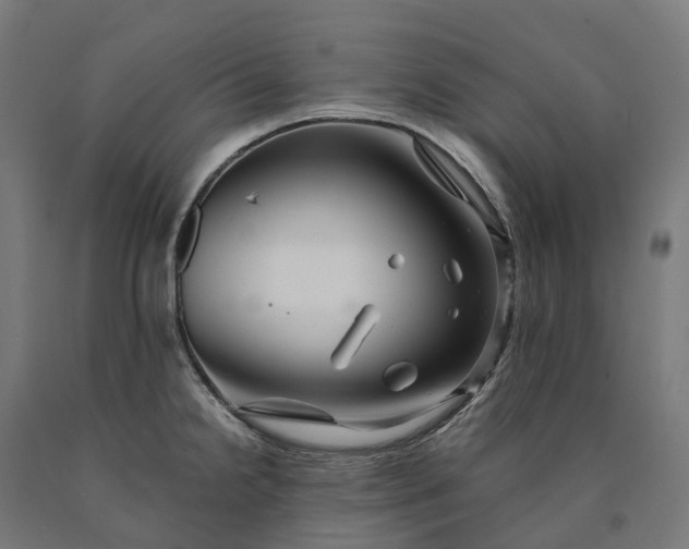 X0000090601238200707311154