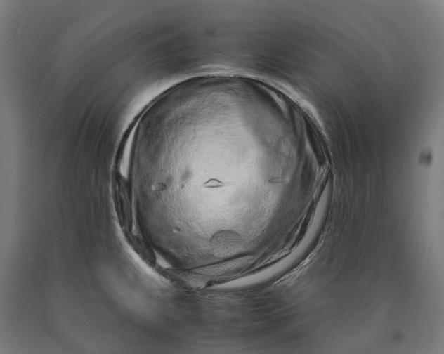 X0000090601239200707311154