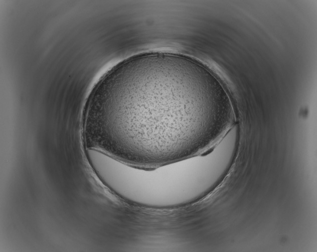 X0000090601240200707311154