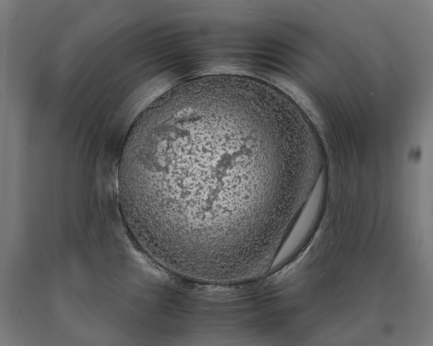 X0000090601241200707311155