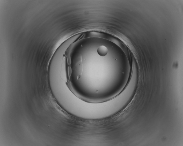 X0000090601242200707311155