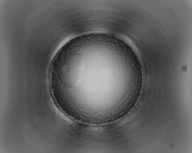 X0000090601243200707311155