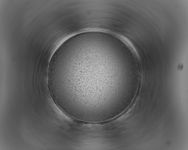 X0000090601244200707311155