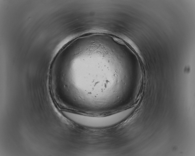 X0000090601245200707311155