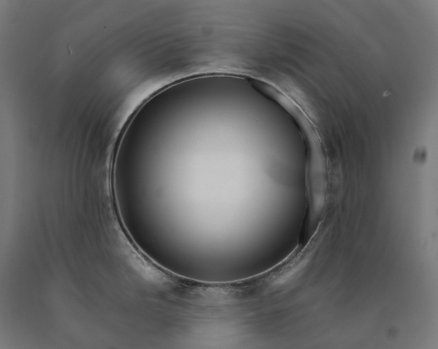 X0000090601246200707311155