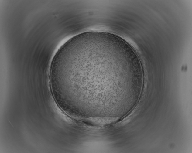 X0000090601248200707311155