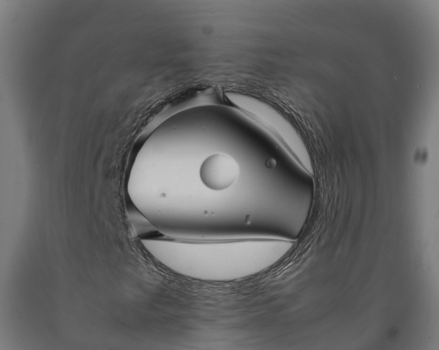 X0000090601249200707311154