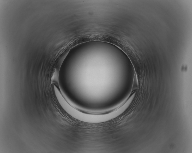 X0000090601250200707311154