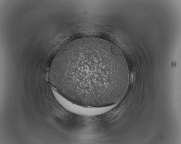 X0000090601251200707311154