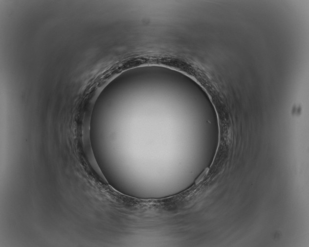 X0000090601253200707311154