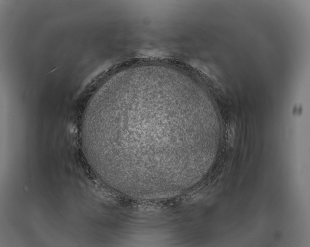 X0000090601254200707311154