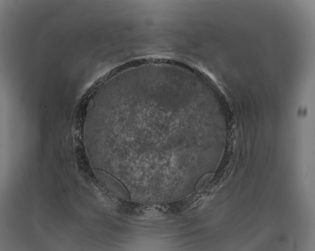 X0000090601255200707311154