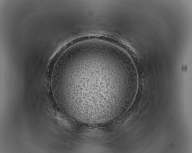 X0000090601256200707311154