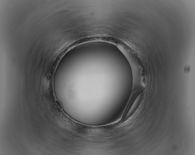 X0000090601257200707311154