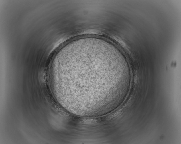 X0000090601258200707311154