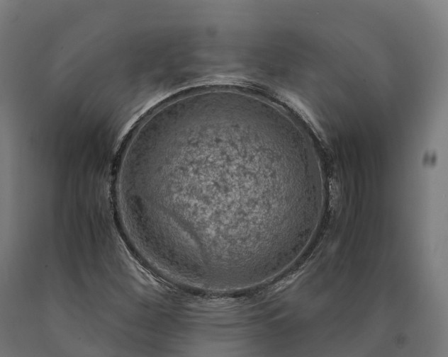 X0000090601260200707311154