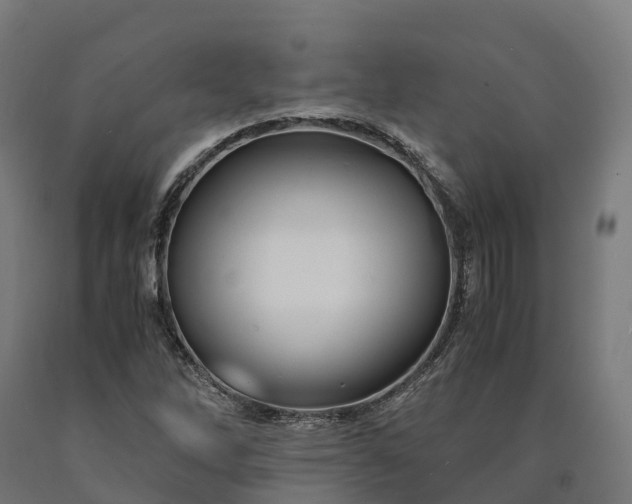 X0000090601262200707311154