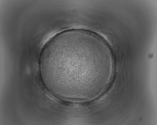 X0000090601263200707311154