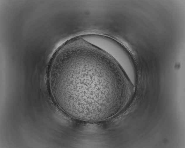 X0000090601264200707311154