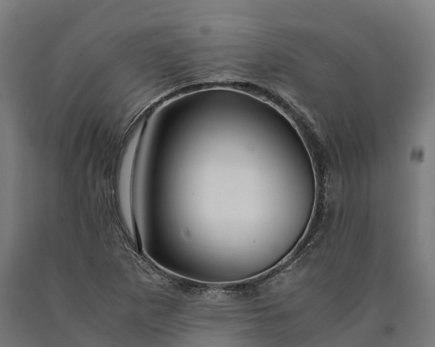 X0000090601265200707311154