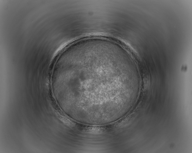 X0000090601266200707311154