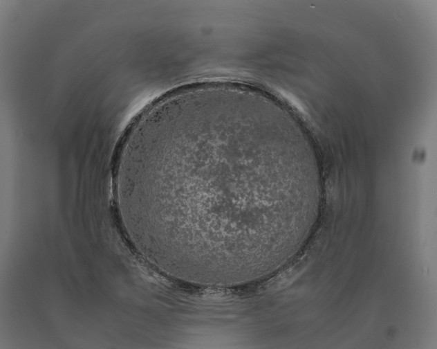 X0000090601267200707311154