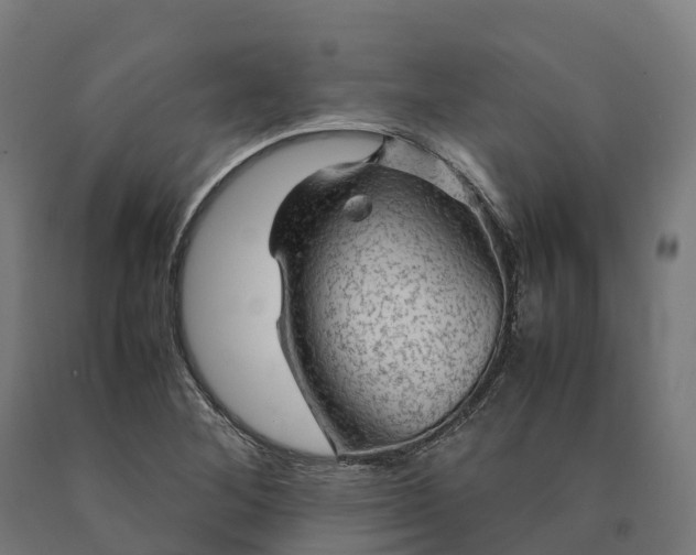 X0000090601268200707311154