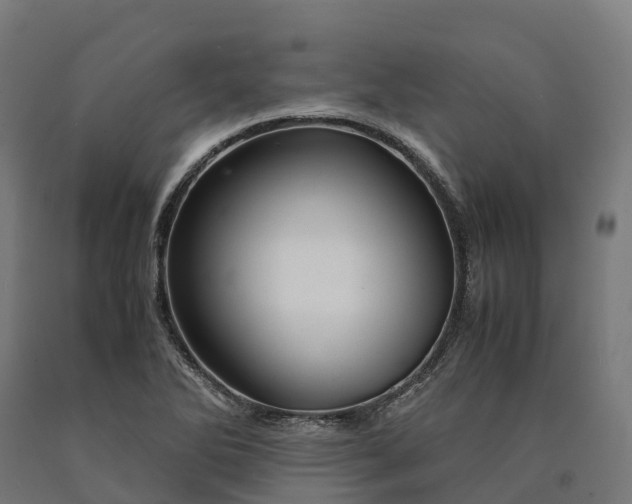 X0000090601270200707311154