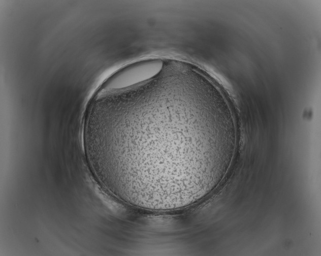 X0000090601272200707311154