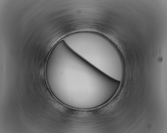 X0000090601273200707311154