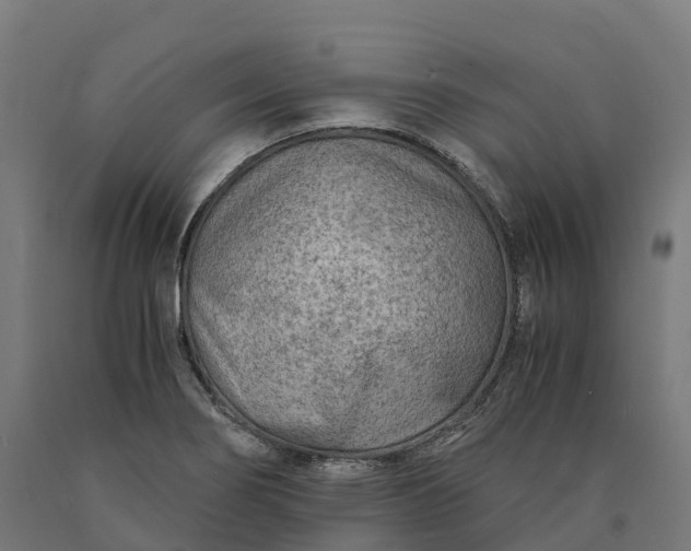 X0000090601274200707311154