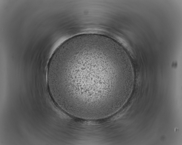 X0000090601275200707311154