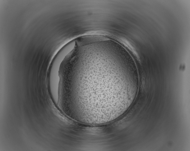 X0000090601276200707311154