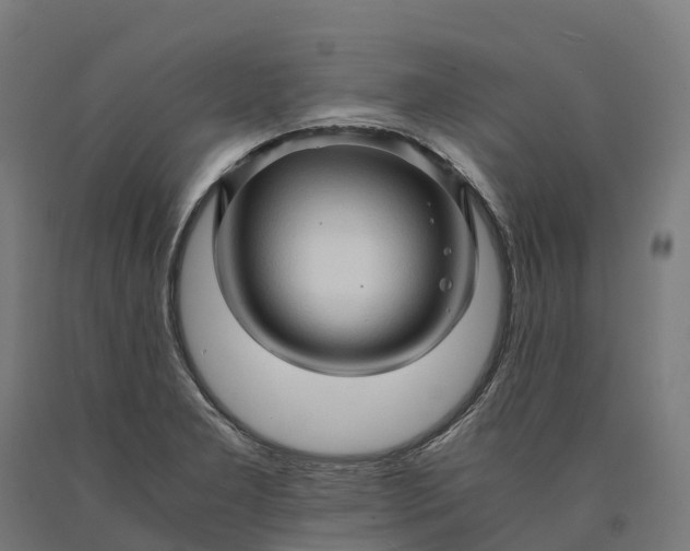 X0000090601277200707311154