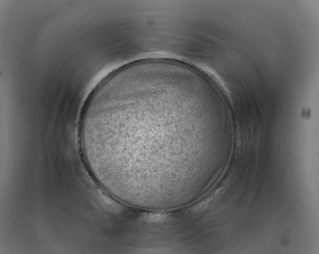 X0000090601278200707311154