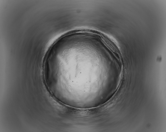 X0000090601279200707311154