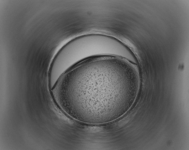 X0000090601280200707311154